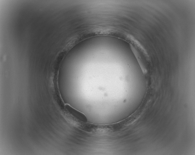 X0000074340209200609230126