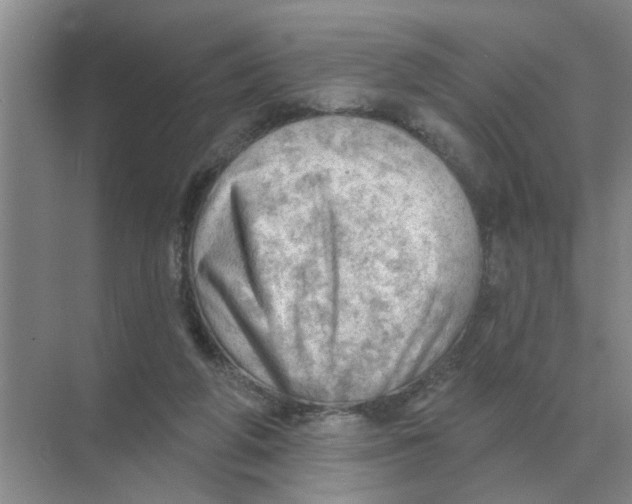 X0000074340210200609230126