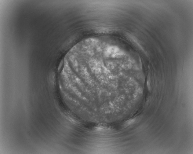 X0000074340211200609230126