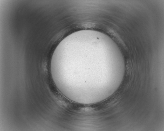 X0000074340212200609230126