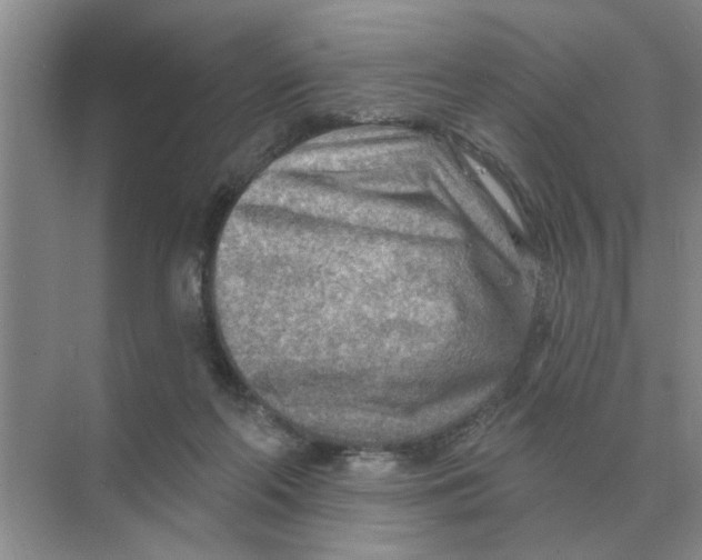 X0000074340214200609230126