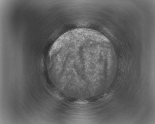 X0000074340215200609230126