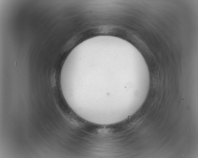 X0000074340216200609230126