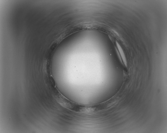 X0000074340217200609230126