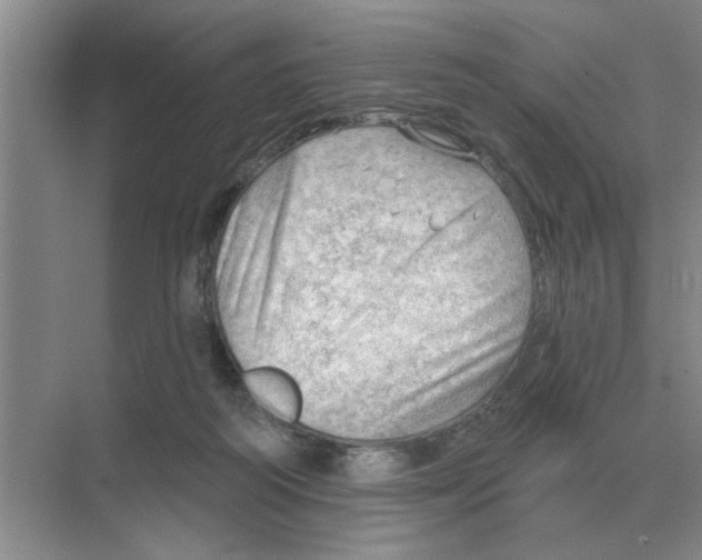 X0000074340218200609230126