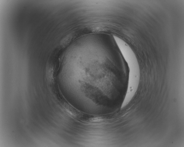 X0000074340219200609230126