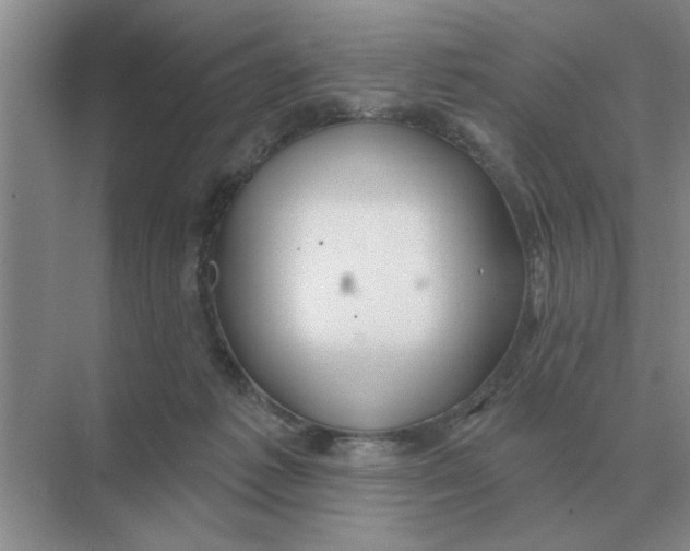 X0000074340221200609230126