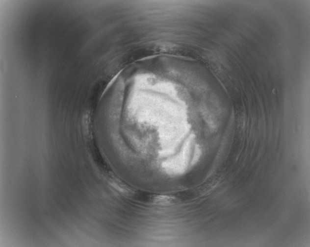 X0000074340222200609230126