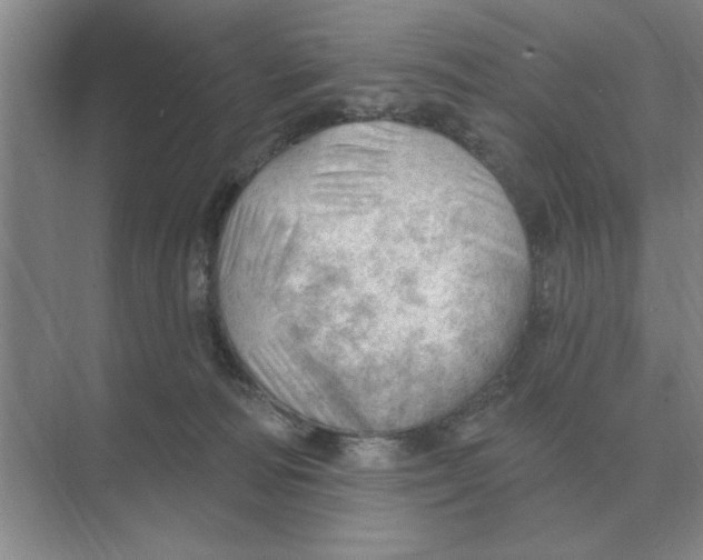 X0000074340226200609230126