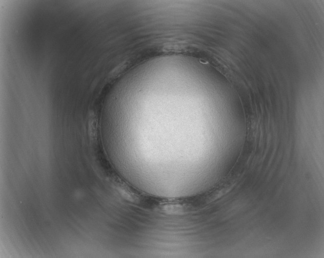 X0000074340228200609230126