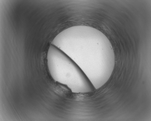 X0000074340229200609230126