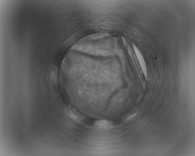 X0000074340231200609230126