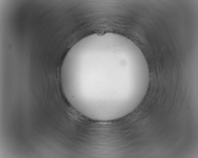 X0000074340233200609230126