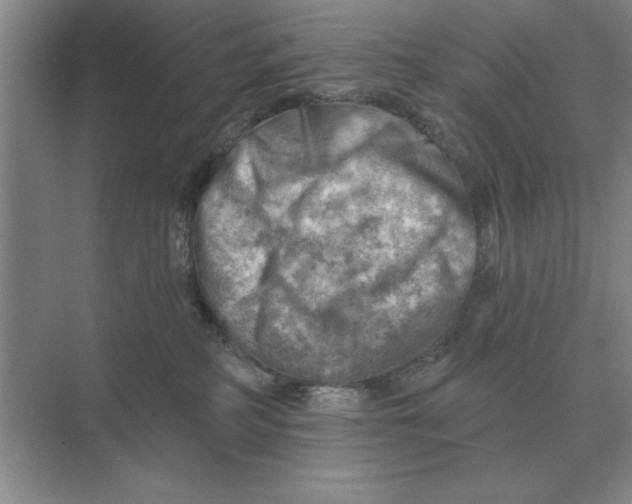 X0000074340234200609230126