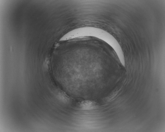 X0000074340235200609230126