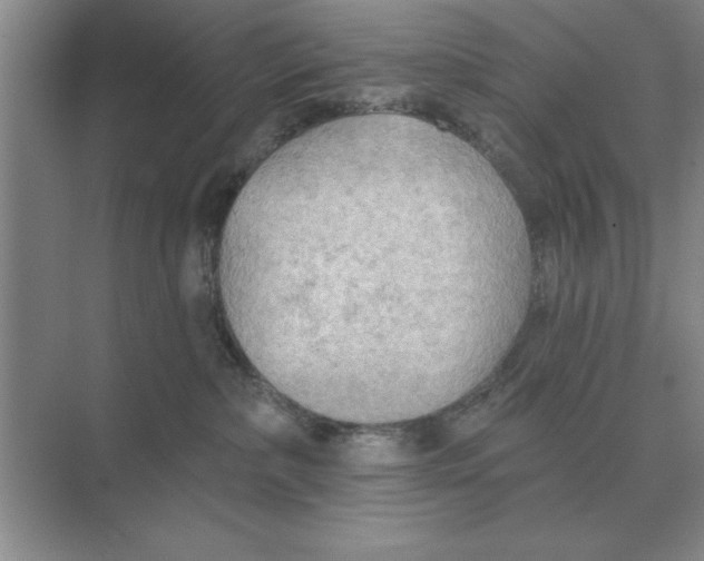 X0000074340236200609230126