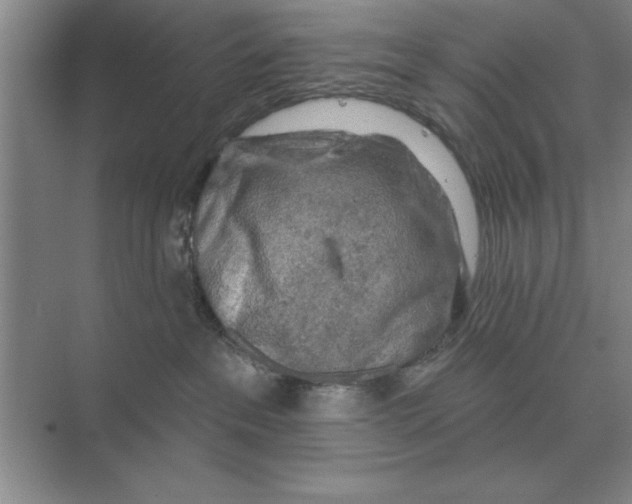 X0000074340237200609230126