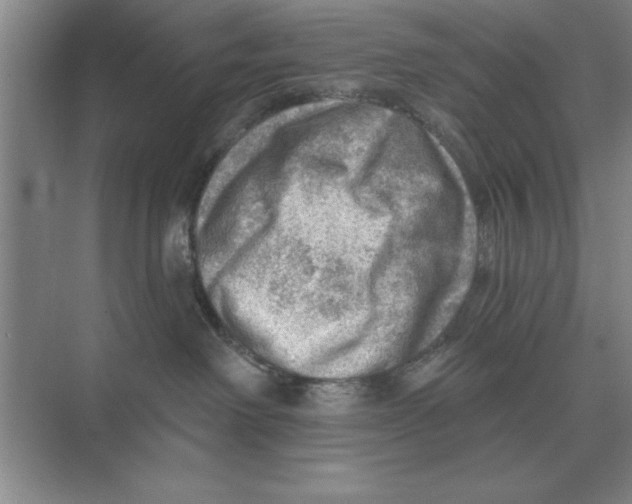 X0000074340238200609230126