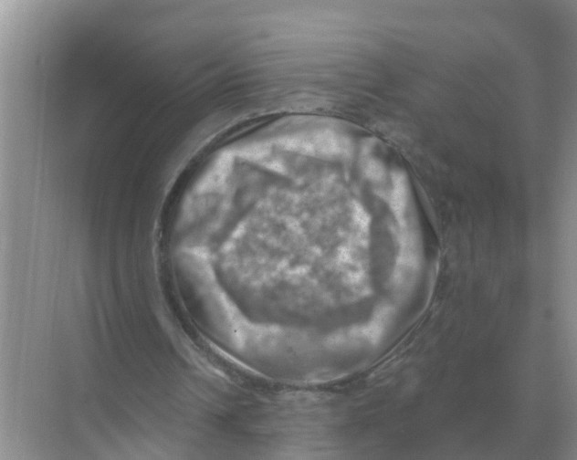 X0000074340242200609230125