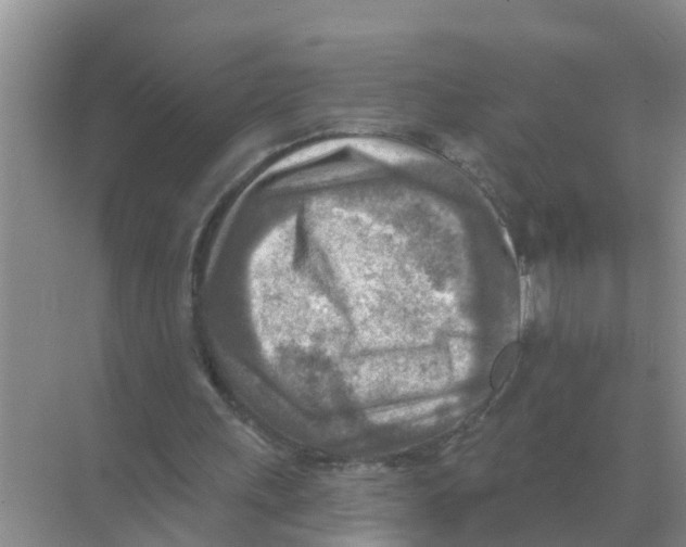 X0000074340243200609230125