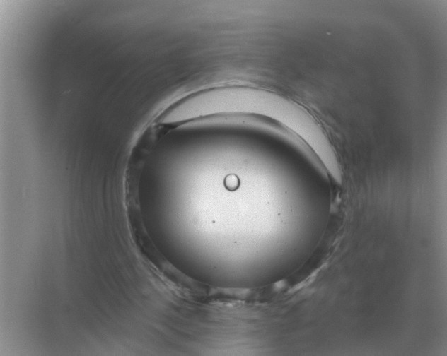 X0000074340244200609230125