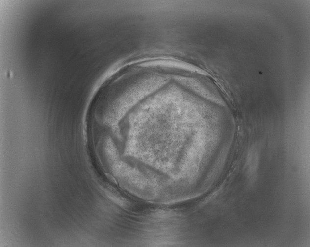 X0000074340246200609230125