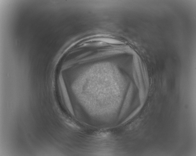 X0000074340247200609230125