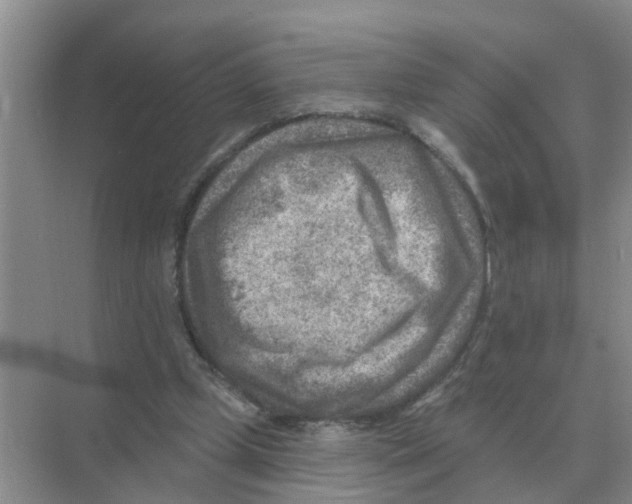 X0000074340249200609230125