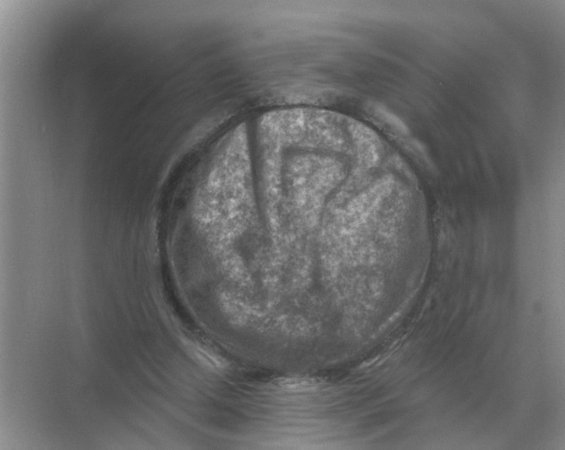 X0000074340250200609230125