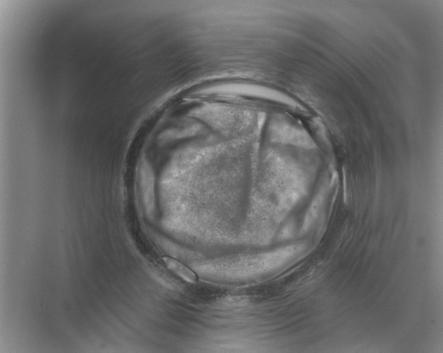 X0000074340252200609230125