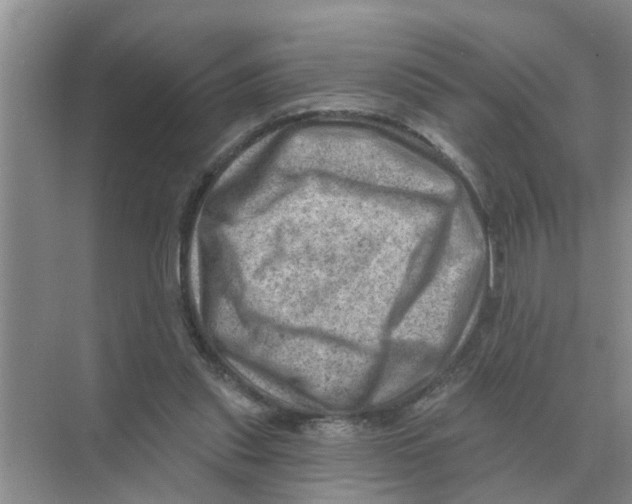 X0000074340253200609230125