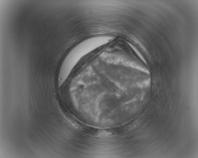 X0000074340257200609230125