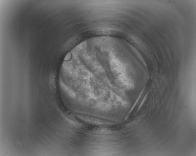 X0000074340258200609230125