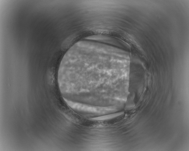 X0000074340259200609230125