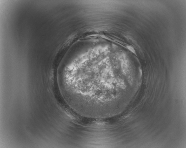 X0000074340260200609230125