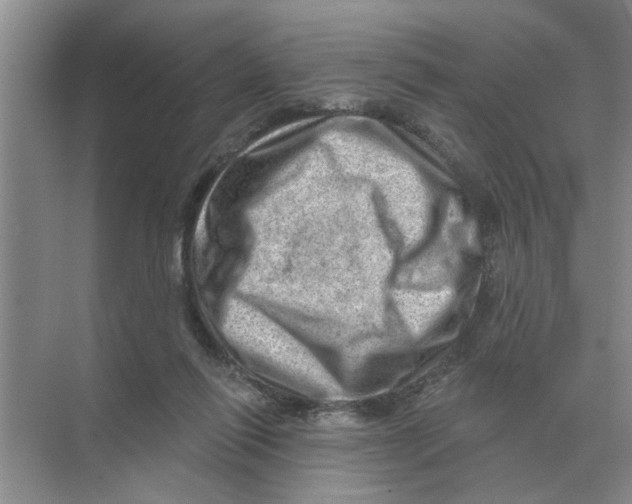 X0000074340262200609230126