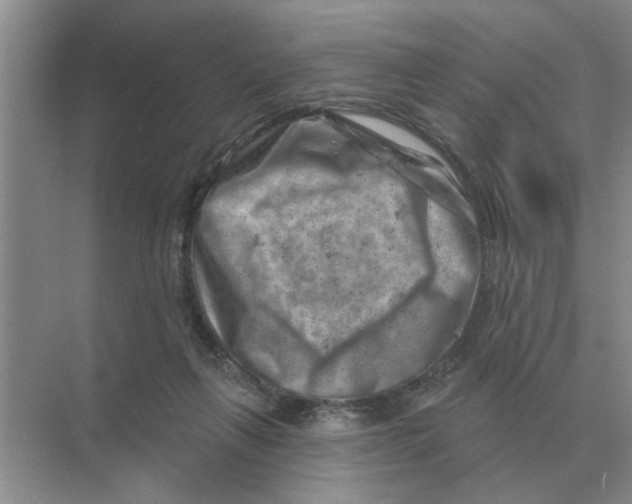 X0000074340263200609230126