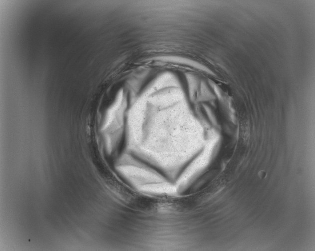 X0000074340264200609230126