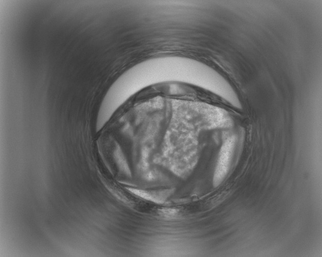 X0000074340265200609230126