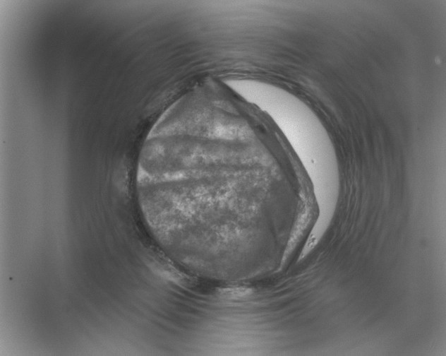 X0000074340266200609230126