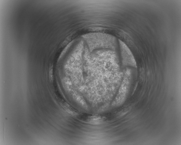 X0000074340267200609230126