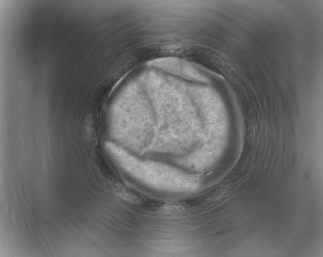 X0000074340270200609230126