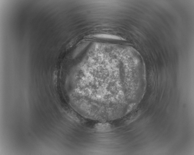 X0000074340271200609230126