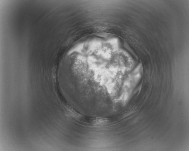 X0000074340274200609230126