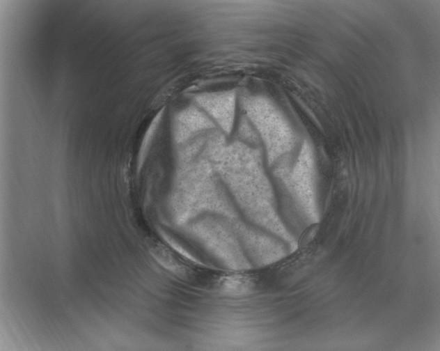 X0000074340275200609230126