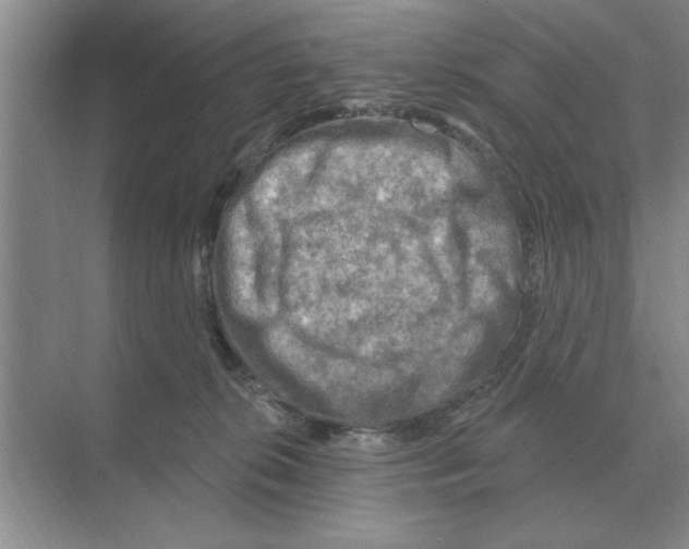 X0000074340276200609230126