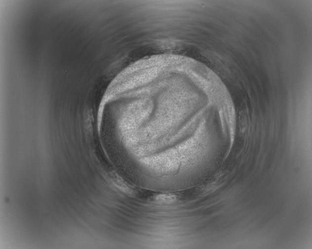 X0000074340279200609230126