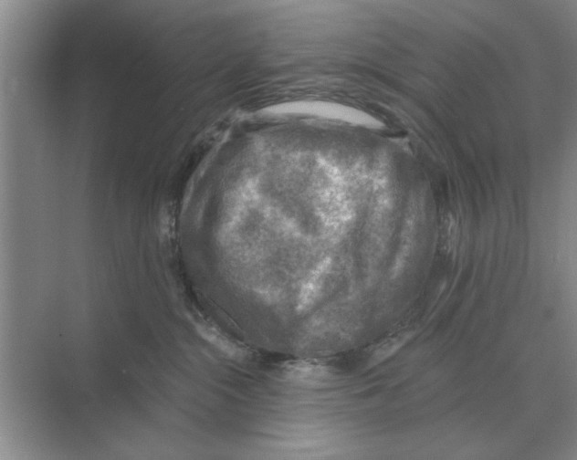 X0000074340284200609230126