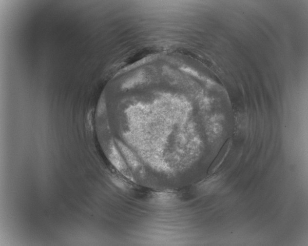 X0000074340286200609230126