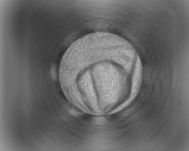 X0000074340287200609230126